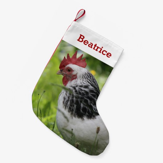 ペットチキンの恋人の写真と名前パーソナライズされた スモールクリスマスストッキング (正面 (吊り時))