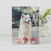 ペットテーマメリーーキスマスホリデーカードインレッド シーズンカード (スタンド正面)