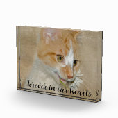 ペットデイジー猫 フォトブロック (右)