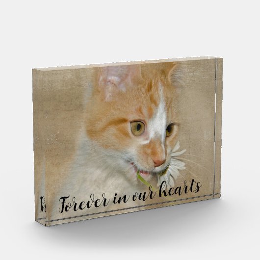ペットデイジー猫 フォトブロック (左)