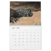 ペットトカゲ カレンダー (3月 2026)