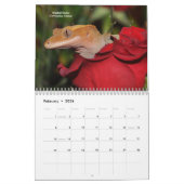 ペットトカゲ カレンダー (2月 2026)