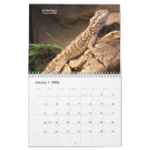 ペットトカゲ カレンダー (1月 2026)