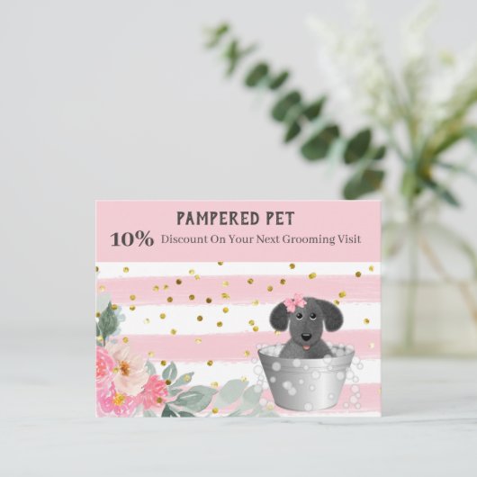 ペットトリマーパピーインタブマーケティングはがき ポストカード (スタンド正面)