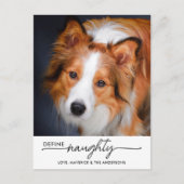 ペットドいけなグパーソナライズされたの写真の定義 シーズンポストカード (正面)