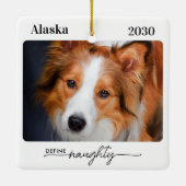 ペットドいけなグパーソナライズされたの写真の定義 セラミックオーナメント (裏面)