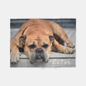 ペットドッグぽんぽん太コンチネンタルブルドッグ フリースブランケット (正面(横))