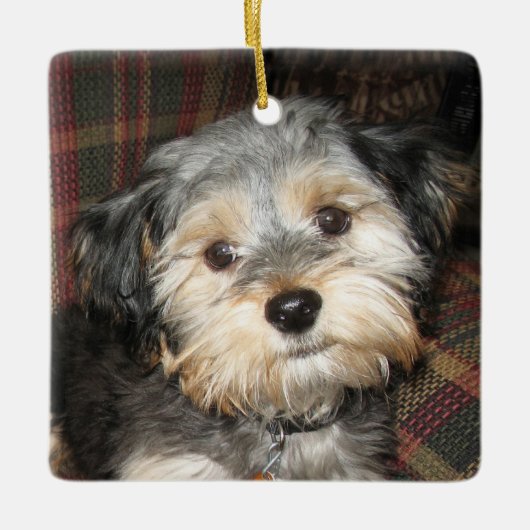 ペットドッグフォトフレーム – 背面に名前を追加 セラミックオーナメント (正面)