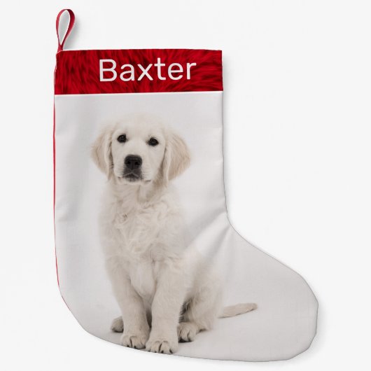 ペットドッグフォトホリデーゴールデンレトリーバー スモールクリスマスストッキング (正面)
