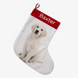 ペットドッグフォトホリデーゴールデンレトリーバー ラージクリスマスストッキング