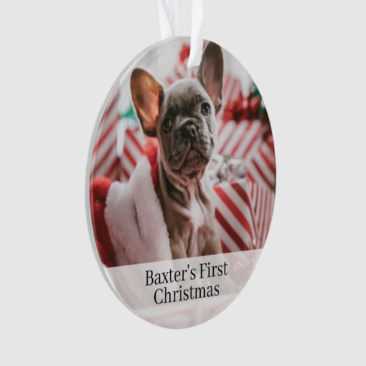ペットドッグ初めてのクリスマスフォトオーナメント オーナメント (正面)
