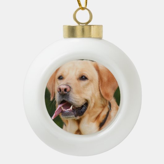 ペットドパーソナライズされたッグの写真 セラミックボールオーナメント (正面)