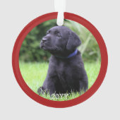 ペットドパーソナライズされたッグの子犬の愛称写真 オーナメント (裏面)