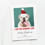 ペットド食べグの猫の写真の一おもしろい覧を見る シーズンカード<br><div class="desc">おもしろいのクリスマスカードは、愛らしい友人（犬、猫、クモなど）が「私が一番だ食べ」と言い張っている様子だ。</div>