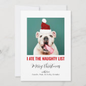 ペットド食べグの猫の写真の一おもしろい覧を見る シーズンカード (正面)