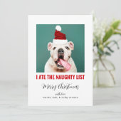 ペットド食べグの猫の写真の一おもしろい覧を見る シーズンカード (スタンド正面)