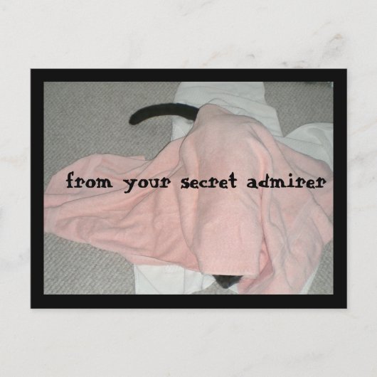 ペットハッピーバレンタインデー シーズンポストカード (正面)