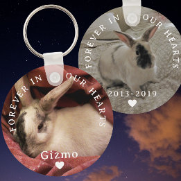 ペットバニーラビットメモリアル2枚 |名前 |日付 キーホルダー