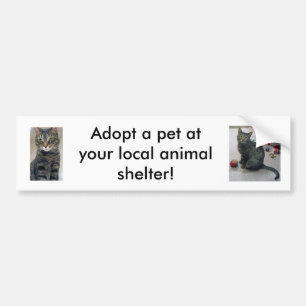 ペットバンパーステッカーを採用して下さい バンパーステッカー