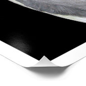 ペットバードコッカティエル写真 ポスター (コーナー)