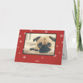 ペットパーソナライズされたおもしろいフォトファミリークリスマス シーズンカード (裏面)