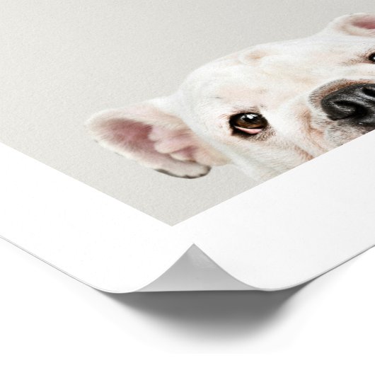 ペットパーソナライズされたの写真と名前のプリント ポスター (角)