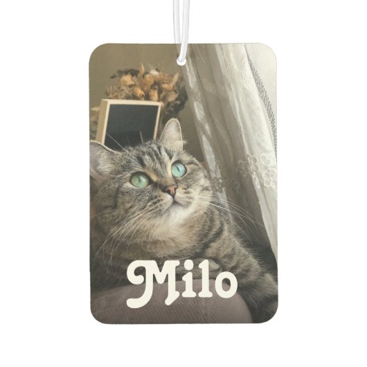 ペットパーソナライズされたの写真と名前の両面車 カーエアーフレッシュナー (裏面)