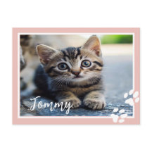 ペットパーソナライズされたの写真と名前カスタム付きポストカード