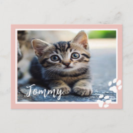 ペットパーソナライズされたの写真と名前カスタム付きポストカード ポストカード