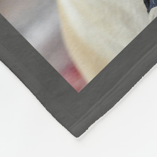 ペットパーソナライズされたの写真と文字犬の猫家族 フリースブランケット (角)