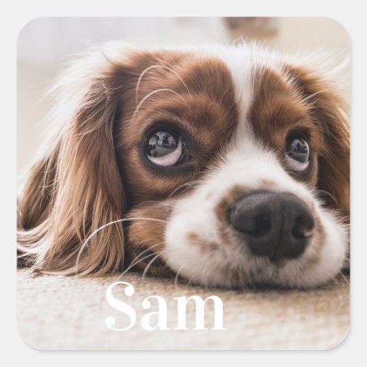 ペットパーソナライズされたの写真名スクエアステッカー スクエアシール (正面)