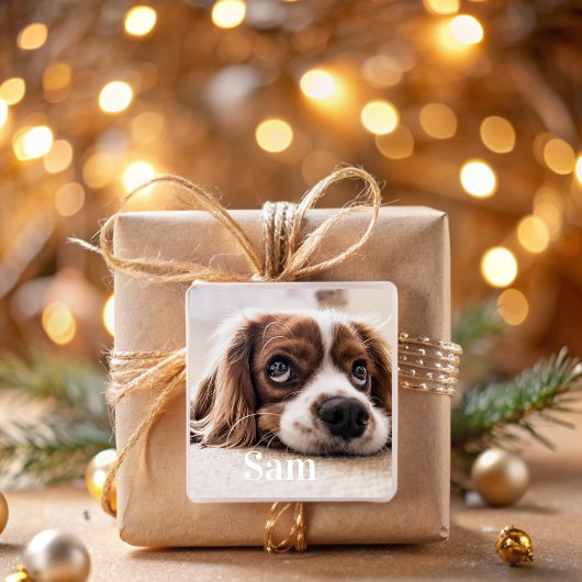 ペットパーソナライズされたの写真名スクエアステッカー スクエアシール