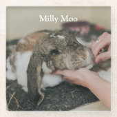 ペットパーソナライズされたの写真 ガラスコースター (正面)