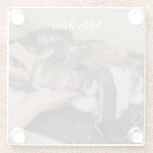 ペットパーソナライズされたの写真 ガラスコースター (裏面)