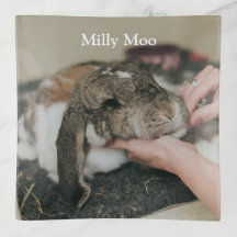 ペットパーソナライズされたの写真