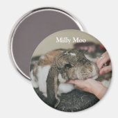 ペットパーソナライズされたの写真 マグネット (正面/裏面)