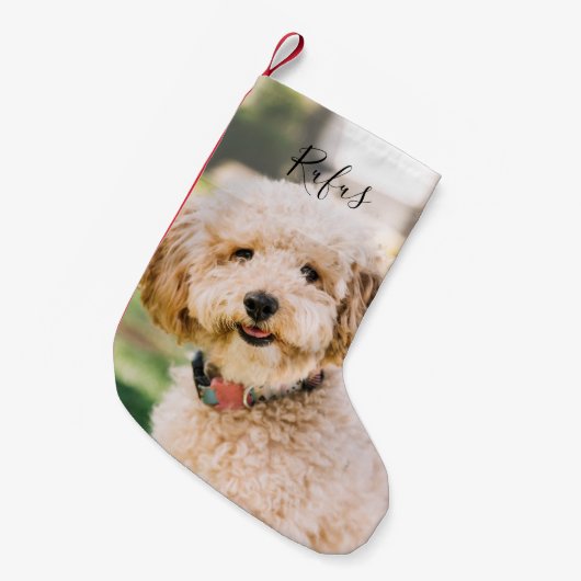 ペットパーソナライズされたの名前と写真 スモールクリスマスストッキング (正面 (吊り時))