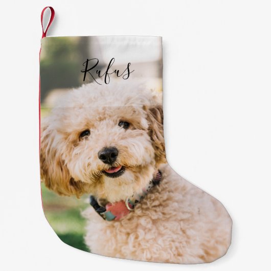 ペットパーソナライズされたの名前と写真 スモールクリスマスストッキング (正面)