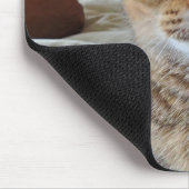 ペットパーソナライズされたの子猫の写真 マウスパッド (コーナー)