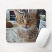 ペットパーソナライズされたの子猫の写真 マウスパッド (マウス)