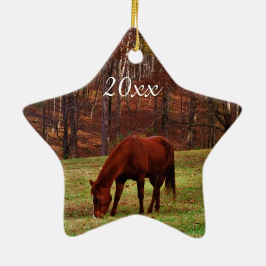 ペットパーソナライズされたまたは馬の写真年のクリスマス セラミックオーナメント (裏面)