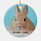 ペットパーソナライズされたウサギ写真名クリスマスツリー セラミックオーナメント (裏面)