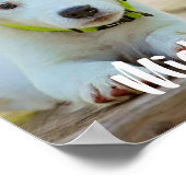 ペットパーソナライズされたカスタムの写真 ポスター (角)