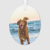 ペットパーソナライズされたクリスマスオーナメント オーナメント (正面)