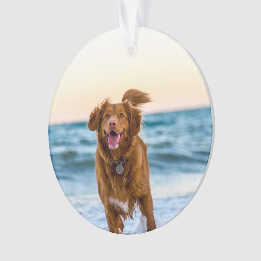 ペットパーソナライズされたクリスマスオーナメント オーナメント (正面)