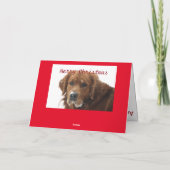 ペットパーソナライズされたクリスマスカード シーズンカード (裏面)