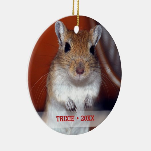 ペットパーソナライズされたゲルビル写真名クリスマスツリー セラミックオーナメント (右)