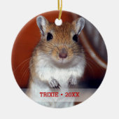 ペットパーソナライズされたゲルビル写真名クリスマスツリー セラミックオーナメント (正面)