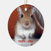 ペットパーソナライズされたゲルビル写真名クリスマスツリー セラミックオーナメント (左)