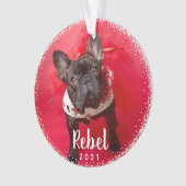 ペットパーソナライズされたドグホリデーフォトタイポグラフィ オーナメント (正面)